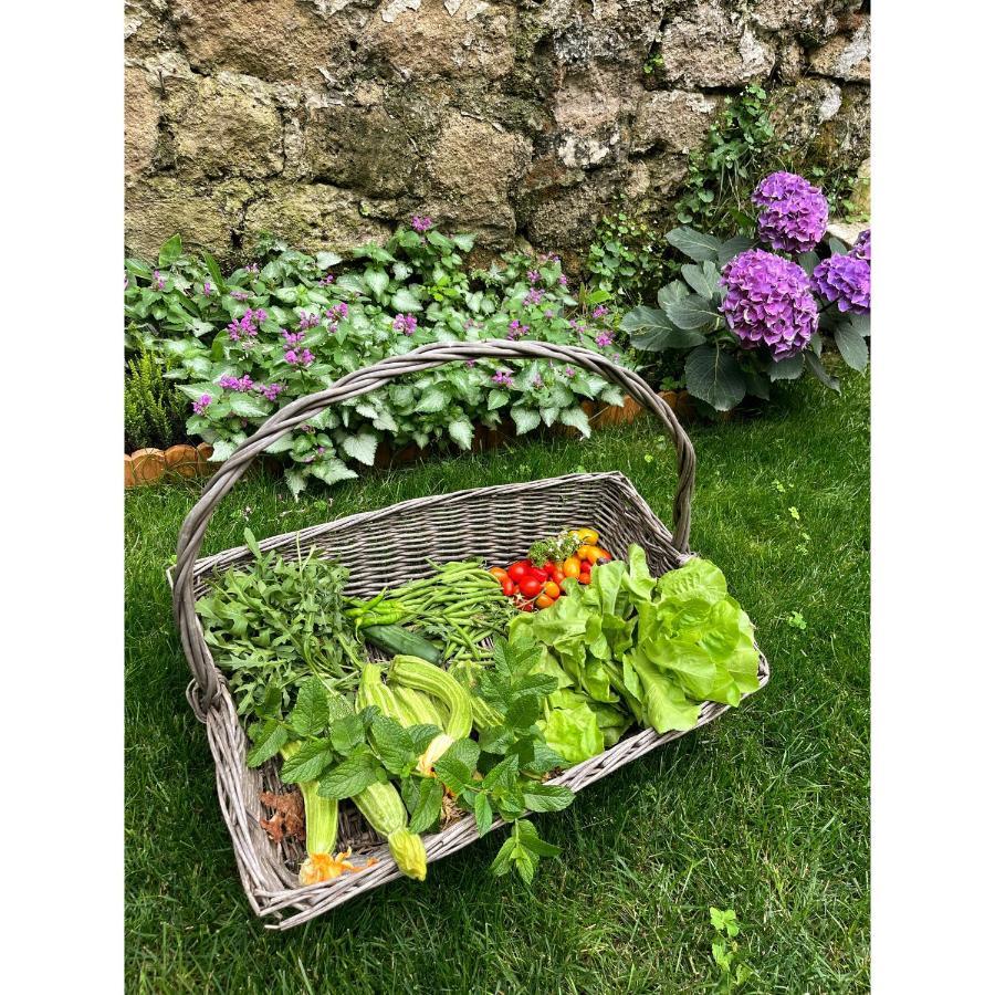נאפולי Casa Vayu - Rooms & Garden מראה חיצוני תמונה